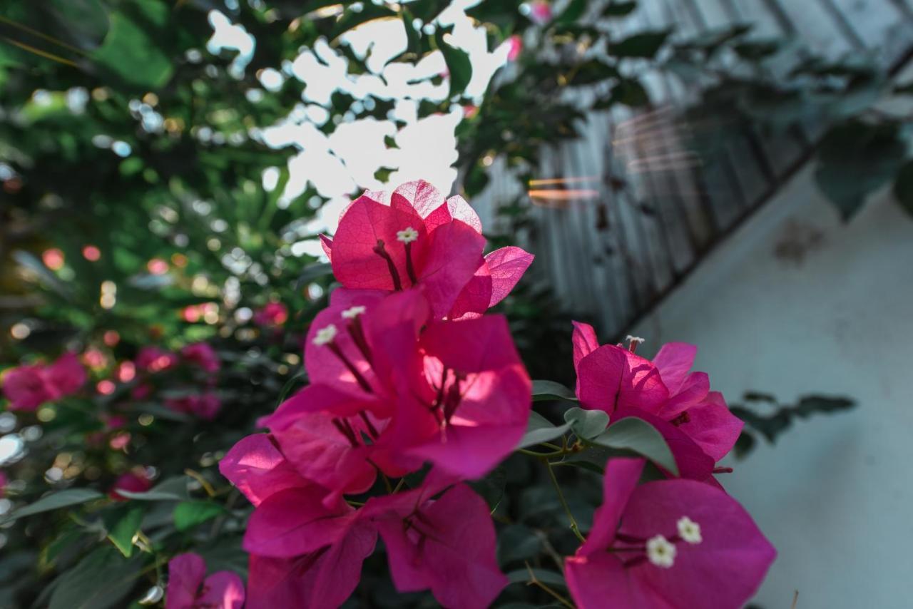 Oh Battambang Boutique Hotel Exterior photo